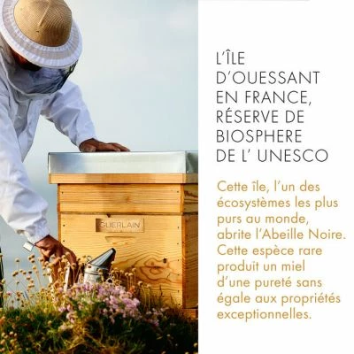 Guerlain Abeille Royale Crème Contour De L'œil – Image 5