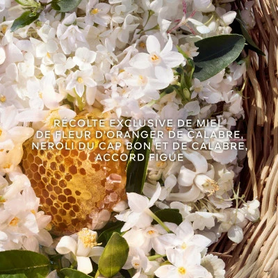 Guerlain Aqua Allegoria Harvest Nerolia Vetiver Eau De Toilette – Image 3