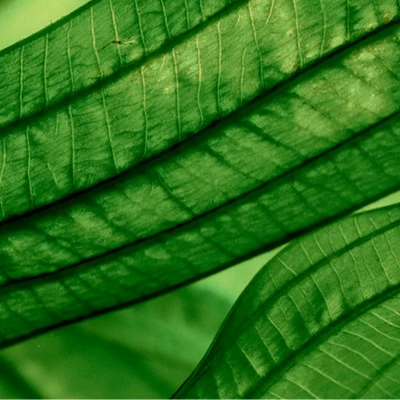 Biotherm Aquasource Night Spa Soin De Nuit Triple Effet : Réhydrate, Lisse Et Apaise – Image 4