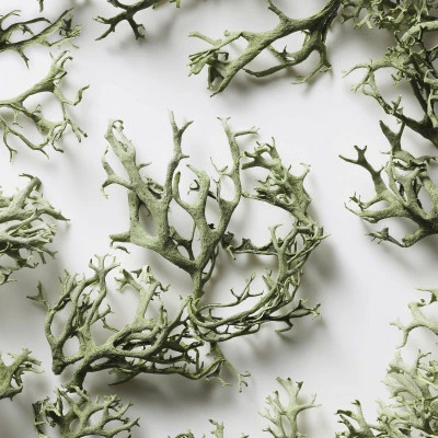 Big Pony Eau De Toilette – Image 4