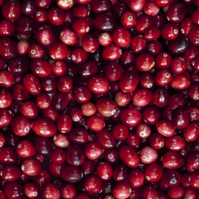 Big Pony For Women Eau De Toilette – Image 5