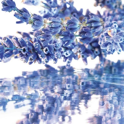 Coffret Mon Guerlain Coffret Pour Femme – Image 4