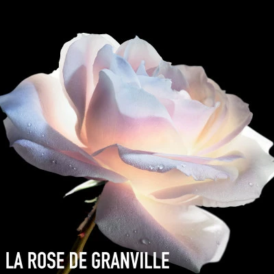 Dior Prestige Le Sucre De Gommage - Masque Exfoliant Visage Et Resurfaçant D'exception – Image 4