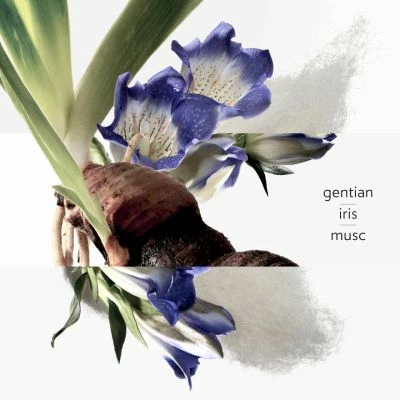 Hermès Eau De Gentiane Blanche Eau De Cologne – Image 2