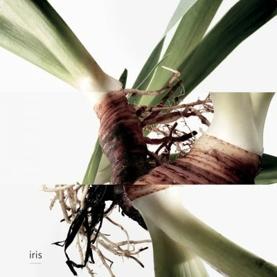 Hermès Eau De Gentiane Blanche Eau De Cologne – Image 4