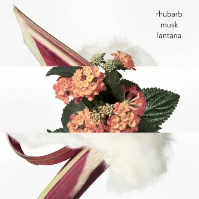 Hermès Eau De Rhubarbe écarlate Eau De Cologne – Image 3