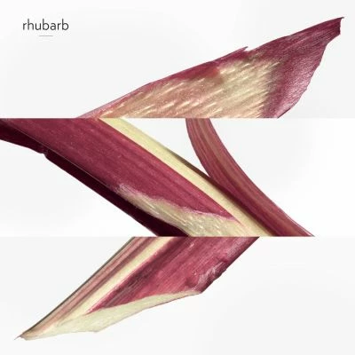 Hermès Eau De Rhubarbe écarlate Eau De Cologne – Image 4