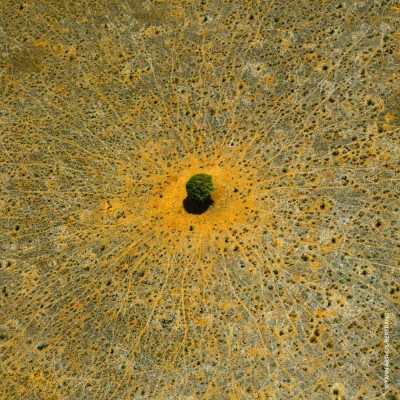 Guerlain Aqua Allegoria Mandarine Basilic Eau De Toilette – Image 5