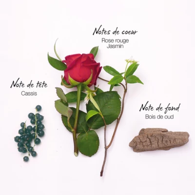 Mauboussin Elixir Pour Elle Eau De Parfum – Image 3