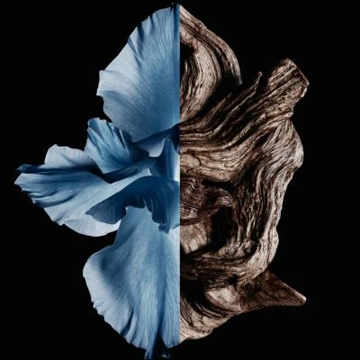 Gentleman Eau De Toilette Intense – Image 4