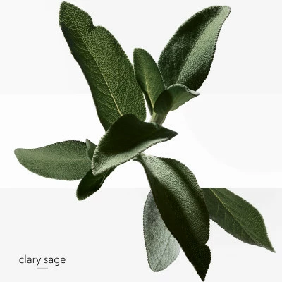 Hermès H24 Savon – Image 5