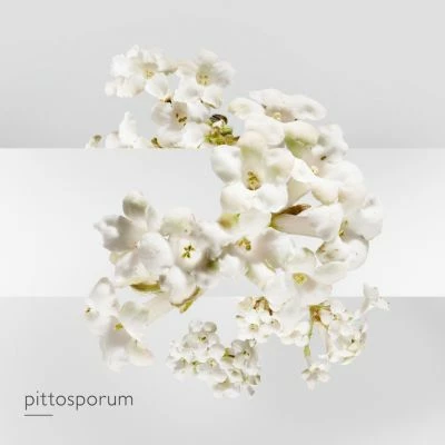 Hermès Un Jardin Sur La Lagune Eau De Toilette – Image 6