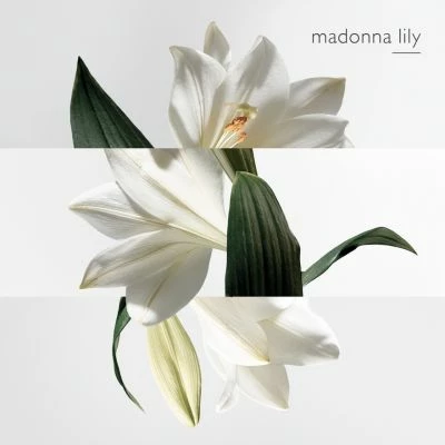 Hermès Un Jardin Sur La Lagune Eau De Toilette – Image 7