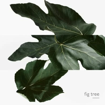 Hermès Un Jardin En Méditerranée Eau De Toilette – Image 4