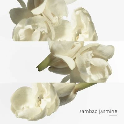 Hermès Le Jardin De Monsieur Li Eau De Toilette – Image 5