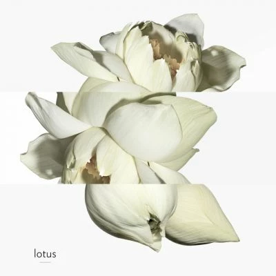 Hermès Un Jardin Sur Le Nil Eau De Toilette – Image 5