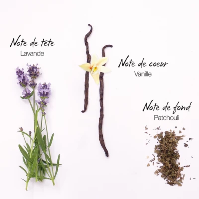 Mauboussin Pour Homme Eau De Parfum – Image 3