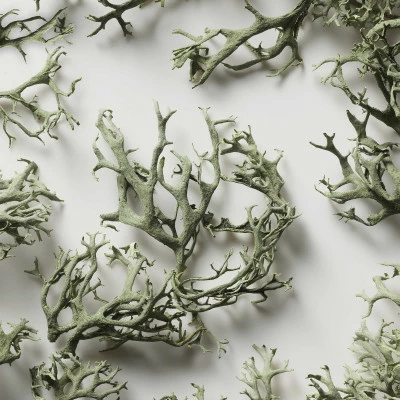 Polo Sport TOIL. HOMME – Image 5