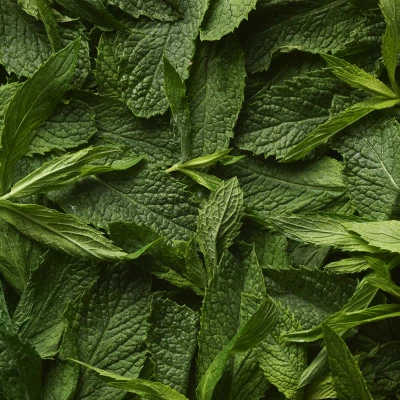 Polo Sport TOIL. HOMME – Image 6