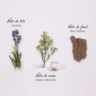 Mauboussin Pour Lui Eau De Parfum – Image 4