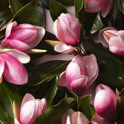 Ralph Eau De Toilette – Image 4