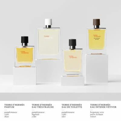 Terre D'Hermès Parfum – Image 6