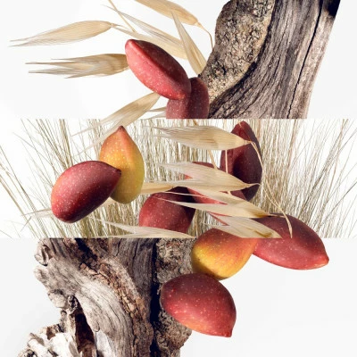 Hermès Un Jardin à Cythère Eau De Toilette – Image 3