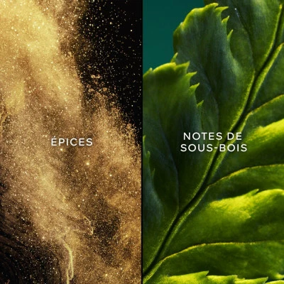 Guerlain Vol De Nuit Eau De Toilette – Image 3